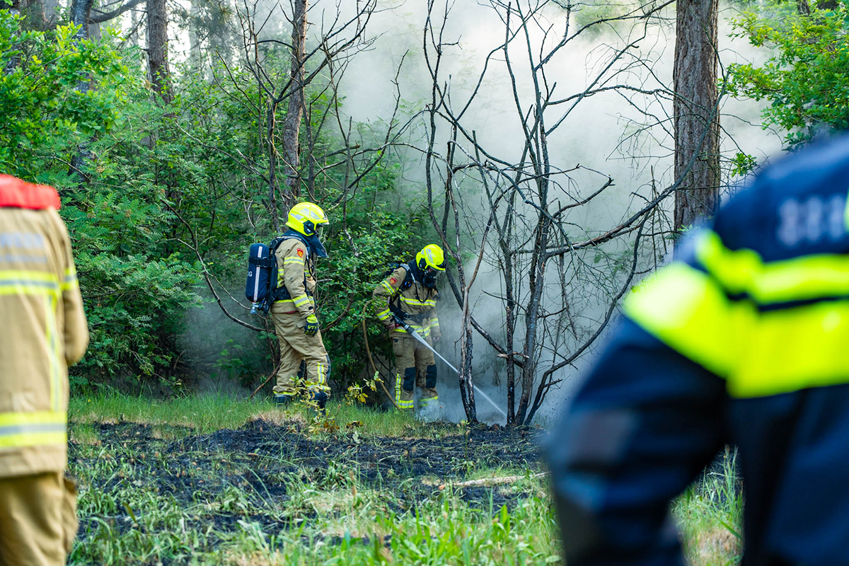 Bosbrand Haspel Ermelo