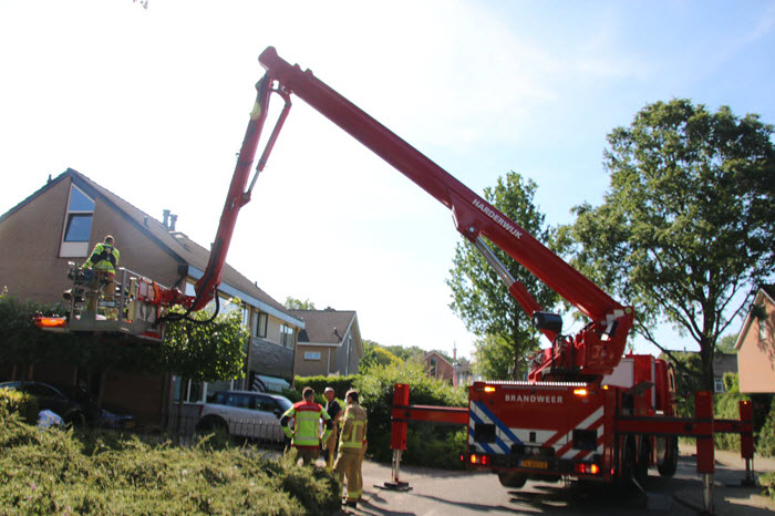 Man valt van ladder Seringweg Ermelo