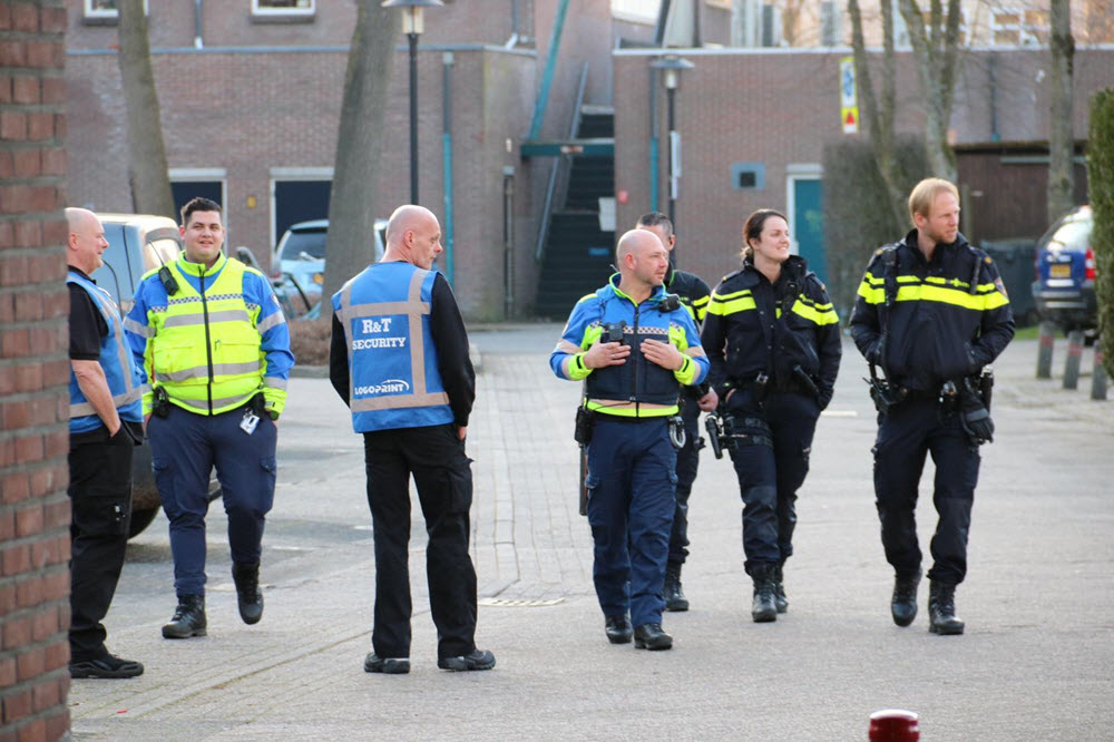 Loslopende pitbull centrum Ermelo