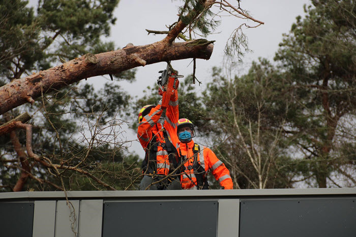 Boom op woonzorglocatie Ermelo