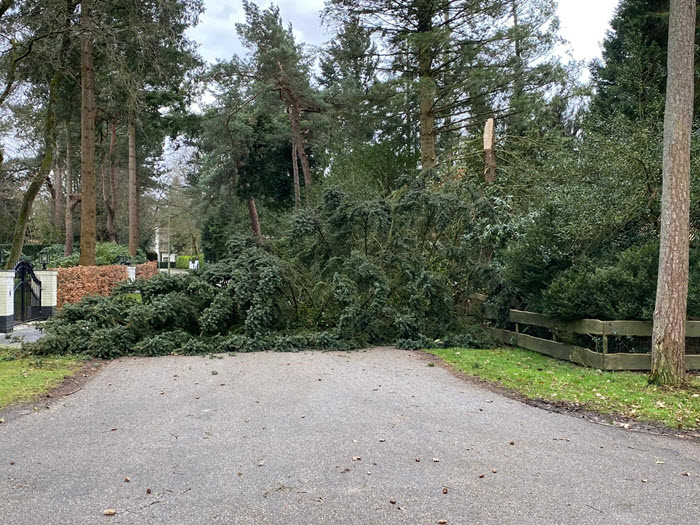 Oranjelaan Ermelo storm 11 maart 2021