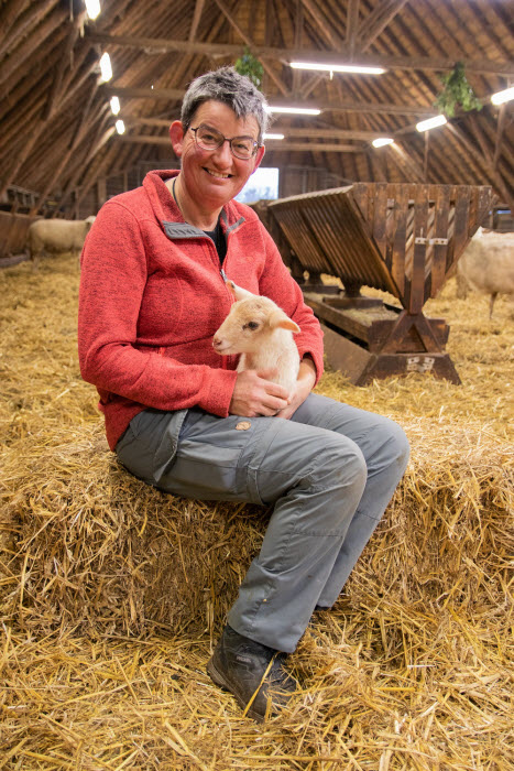 Eerste lammetje Ermelo