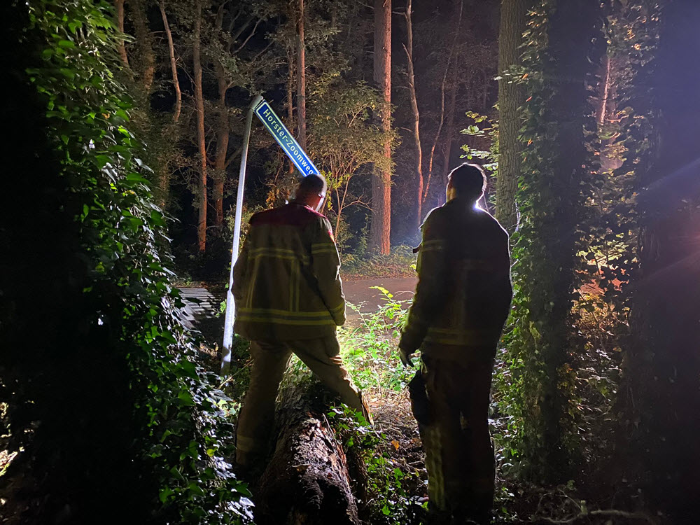 Boom ongevallen op de Horloseweg in Ermelo