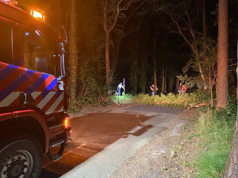 Boom ongevallen op de Horloseweg in Ermelo