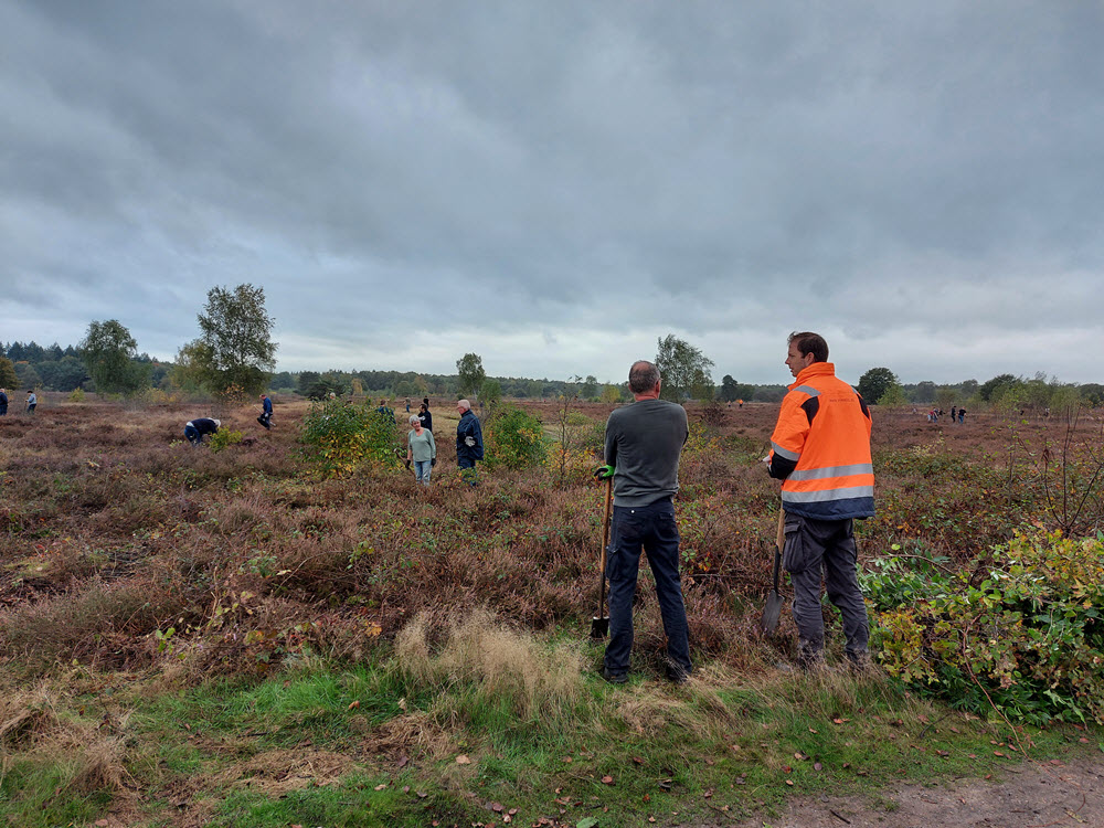 Groevenbeekse heide Ermelo