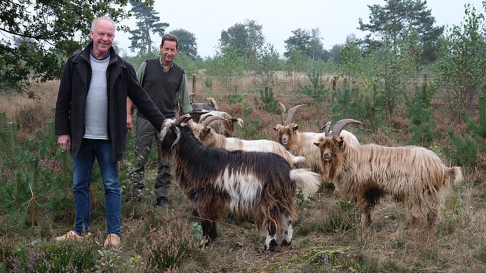 Landgeiten foto gemeente Ermelo