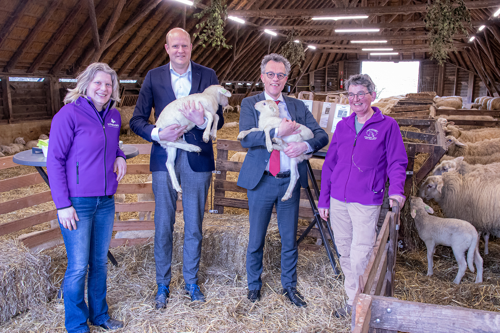 Adoptie lammetjes burgemeester Hans van Daalen en wethouder van Veen Ermelo