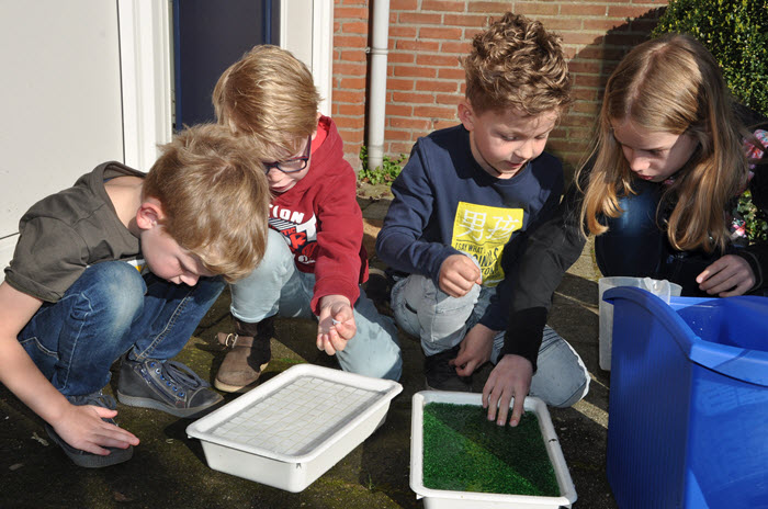 Koniging Julianaschool Ermelo