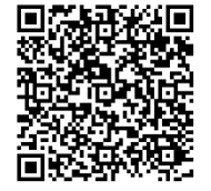 QR code sint intocht Ermelo