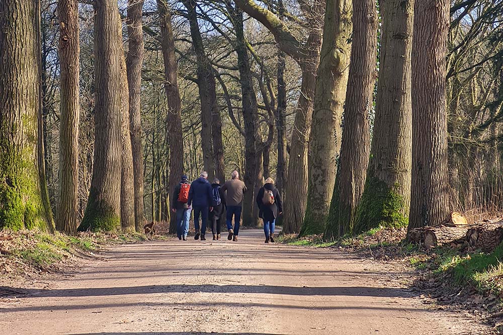 Veluwse Wandeldagen 2023