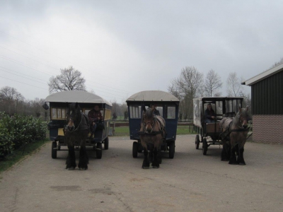 Avondschemerhuifkartochten in Ermelo