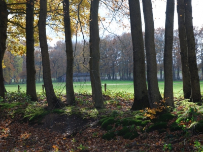 Inspectie waardevolle bomen