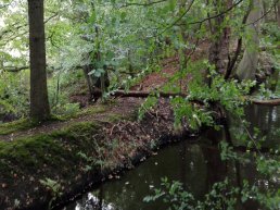Natuurwandeling omgeving Leuvenum