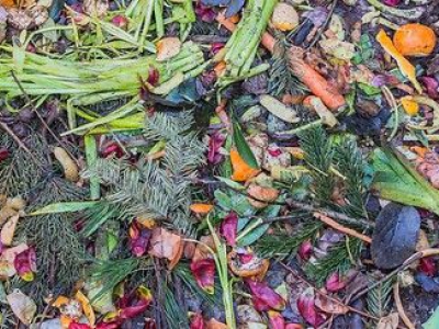 Dump geen groenafval in het bos