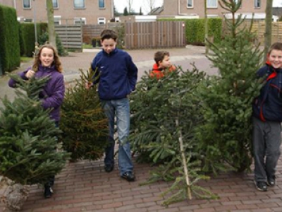 Lever je kerstboom in en verdien