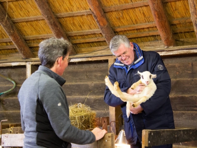 Tweeling lammetjes, André en Junior, geadopteerd door burgemeester André Baars 