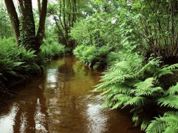Paaswandeling op landgoed Staverden