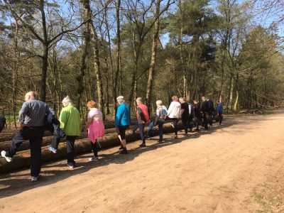 Succesvol Beweegprogramma 55+ gaat weer van start