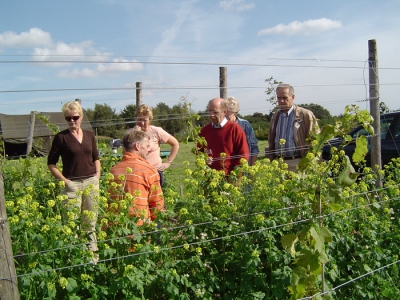 3 Seizoenen tuinenroute