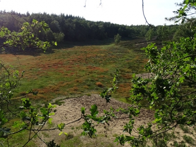 Wandel mee met het NMP op het Houtdorperveld