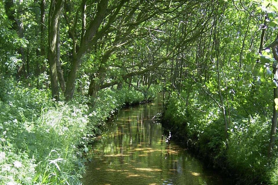 Op zoek naar wild in Leuvenum