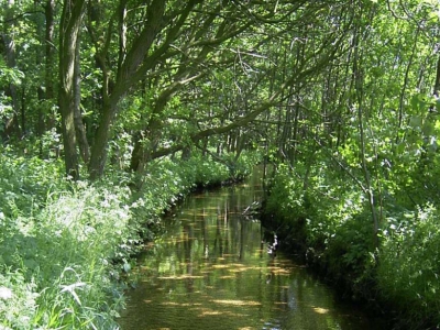 Op zoek naar wild in Leuvenum