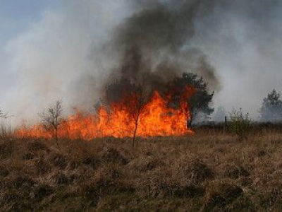 Natuurbrand voorkomen 