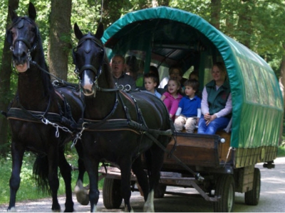 Iedere woensdag een Staverdense Huifkartocht