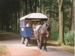 Avondschemer huifkartocht