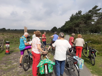 55+ Beweeggroep Heel Ermelo Beweegt