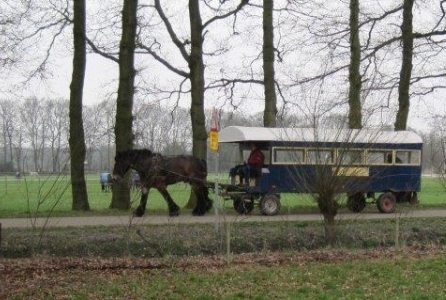 Iedere woensdag een Staverdense Huifkartocht