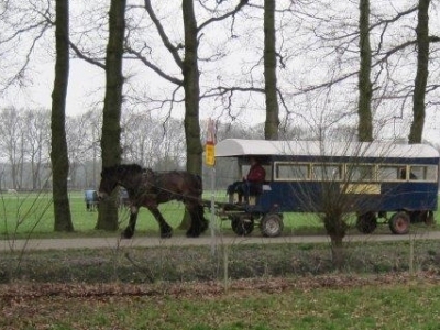 Iedere woensdag een Staverdense Huifkartocht