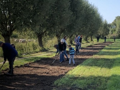 Zon overgoten Blije Progressieve Bermen actie