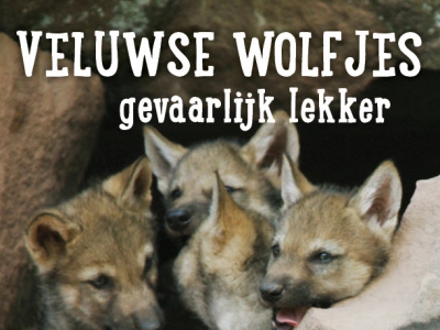 Veluwse Wolfjes gevaarlijk lekker!