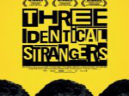 Three indentical strangers