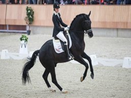 NSIJP Jubileum Editie