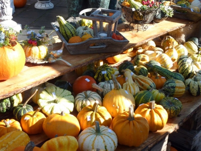 Herfstmarkt in Ermelo