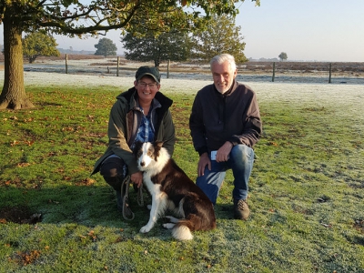 Nieuwe hond voor de schaapskudde in Ermelo