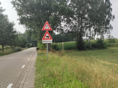 Dassen ‘in gevaar’ door komst Zonneveld Schaapsdijk