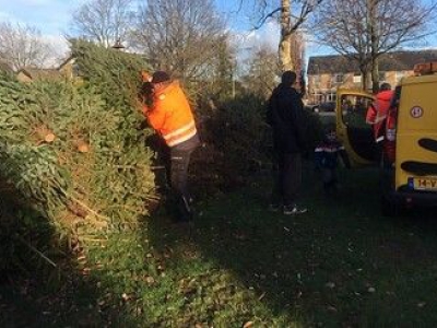 Kerstbomen inleveren