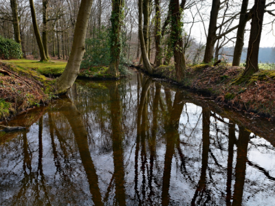 Wandeling langs de Staverdense Beek