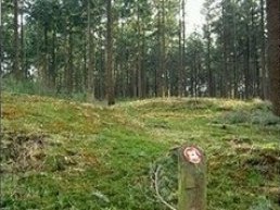 Opendeur 'Grafheuvels'