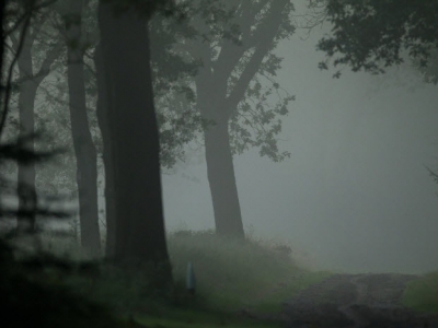 Sagen en legenden wandeling op Landgoed Staverden