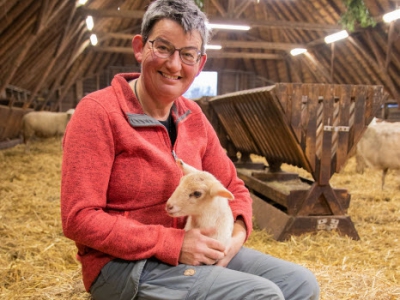 Eerste lammetje geboren bij Ermelose kudde