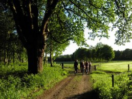 Wandeling op zoek naar wild in Leuvenum