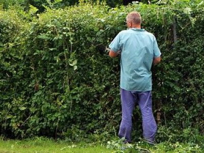 Let op overhangend groen uit je tuin