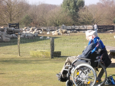 Seniorendag bij schaapskooi Ermelo