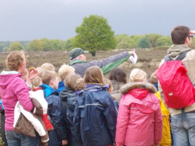 Themawandelingen in maart vanaf schaapskooi Ermelo