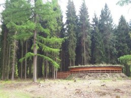 Wildarena de Witte Hoogt in het Speulderbos