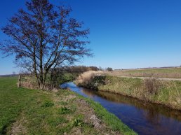 Verbod om water uit sloten te halen